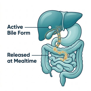 Release